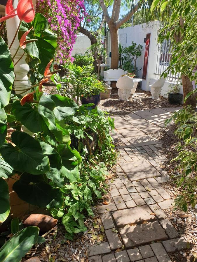 Guest House Frame Ace Bellville Exterior foto