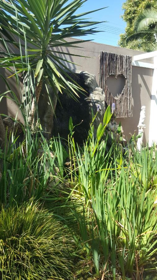 Guest House Frame Ace Bellville Exterior foto